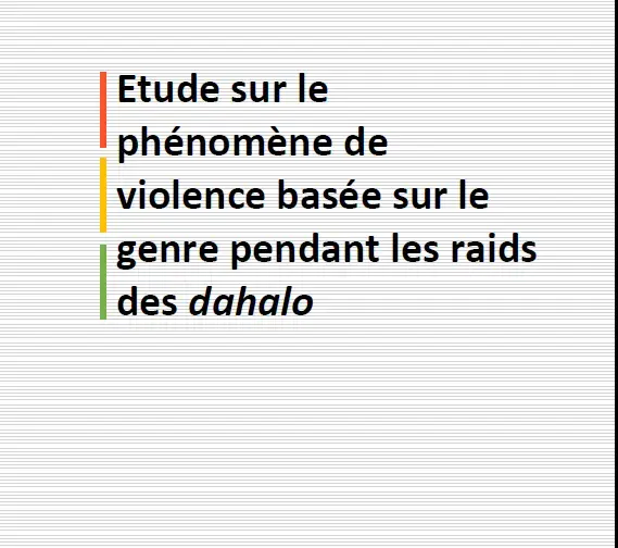 ETUDES SUR LE PHENOMENE DE VBG PENDANT LES RAIDS DES DAHALO-MADAGASCAR 2018